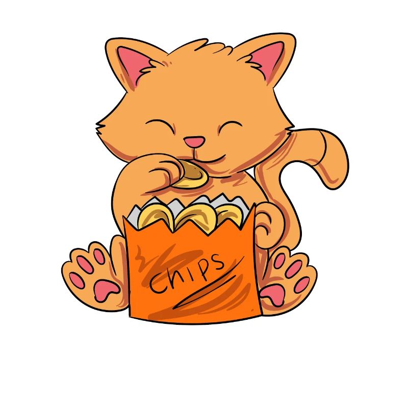 Chips Eating Snacks Candy Gift