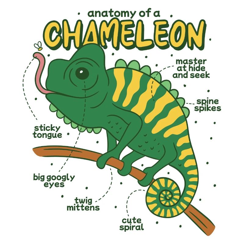 Anatomie eines Chamäleons