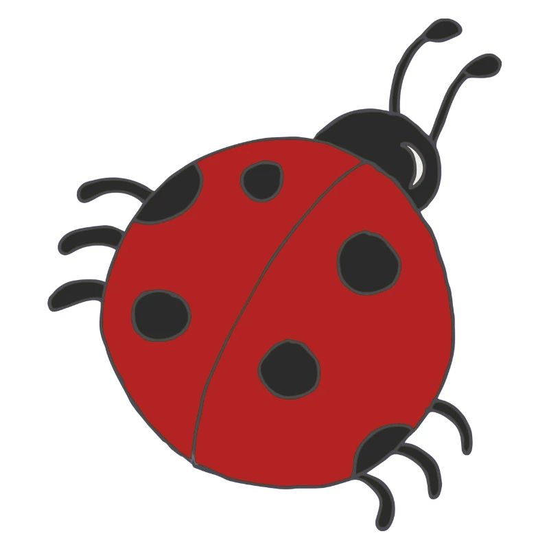 marienkäfer