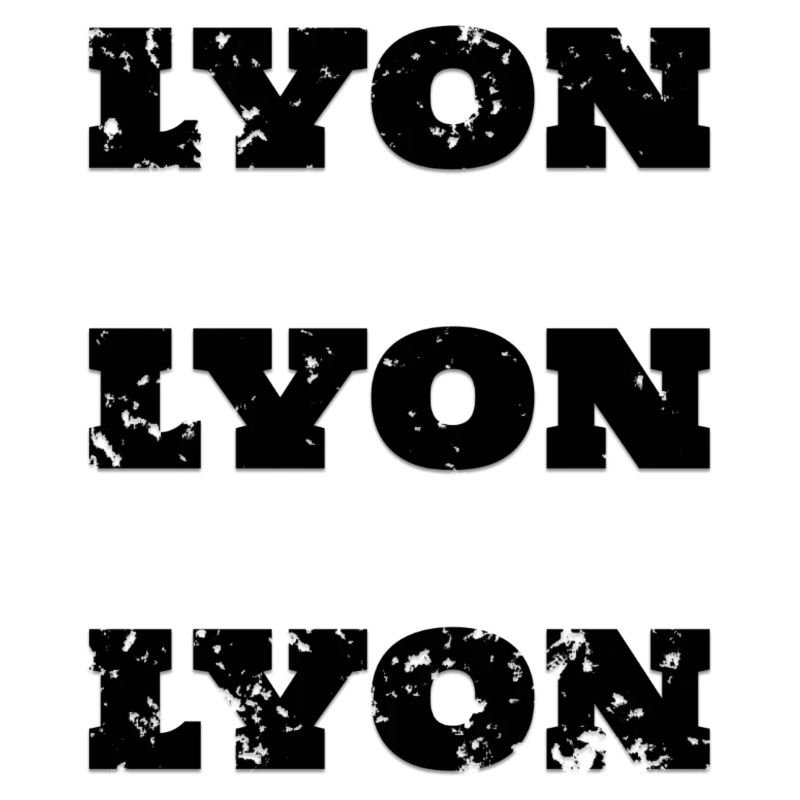 Lyon, Frankreich