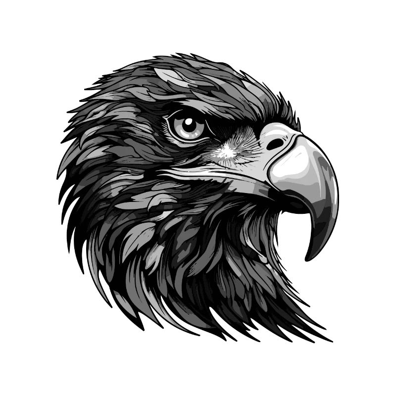 Eagle Portrait