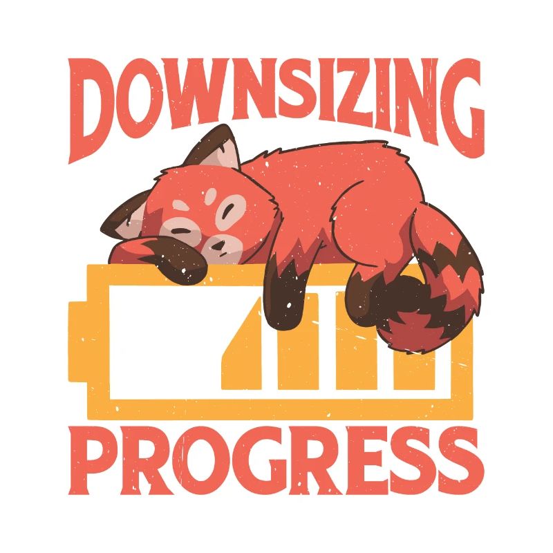 Downsizing In Progress 24