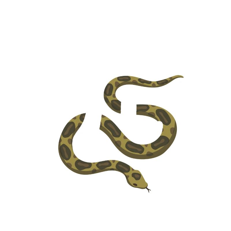 Pi-Thon Lustiger Pi-Tag Python Schlange Mathematik