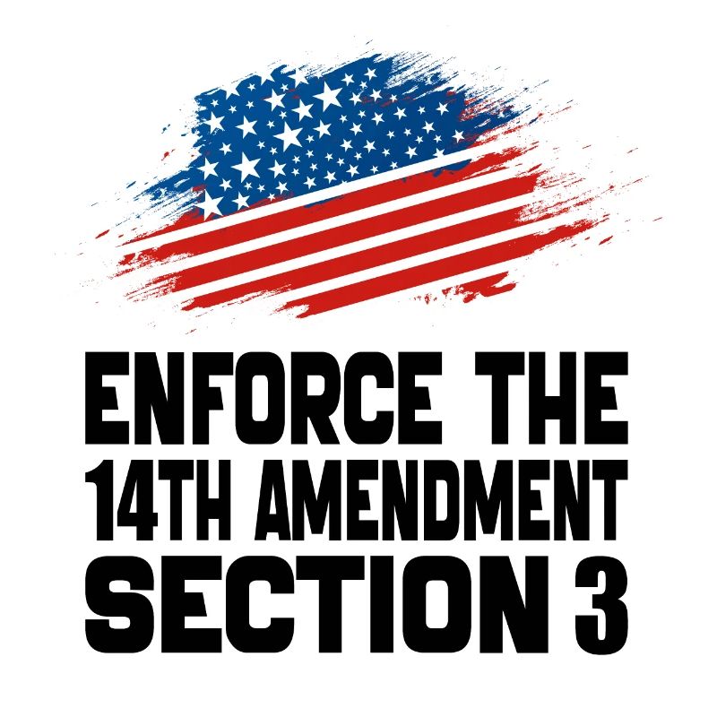 Enforce The 14TH Amendment Section 3