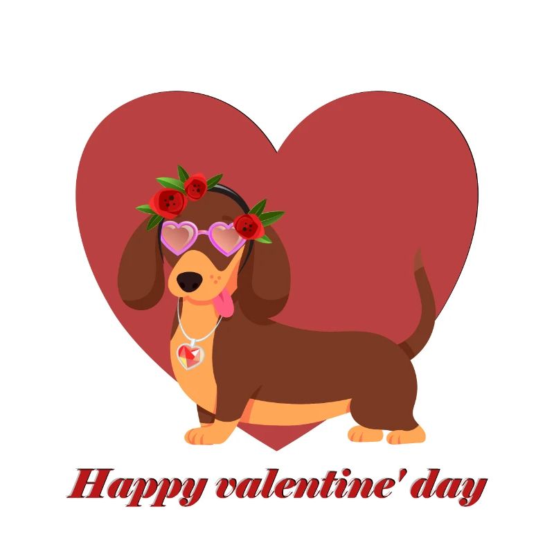 teckel, amour, saint valentin, saint valentin