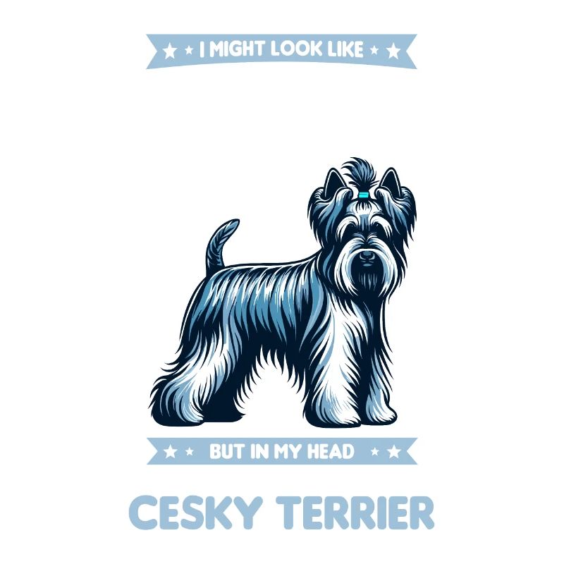 J’ai peut-être l’air de t’écouter Cesky