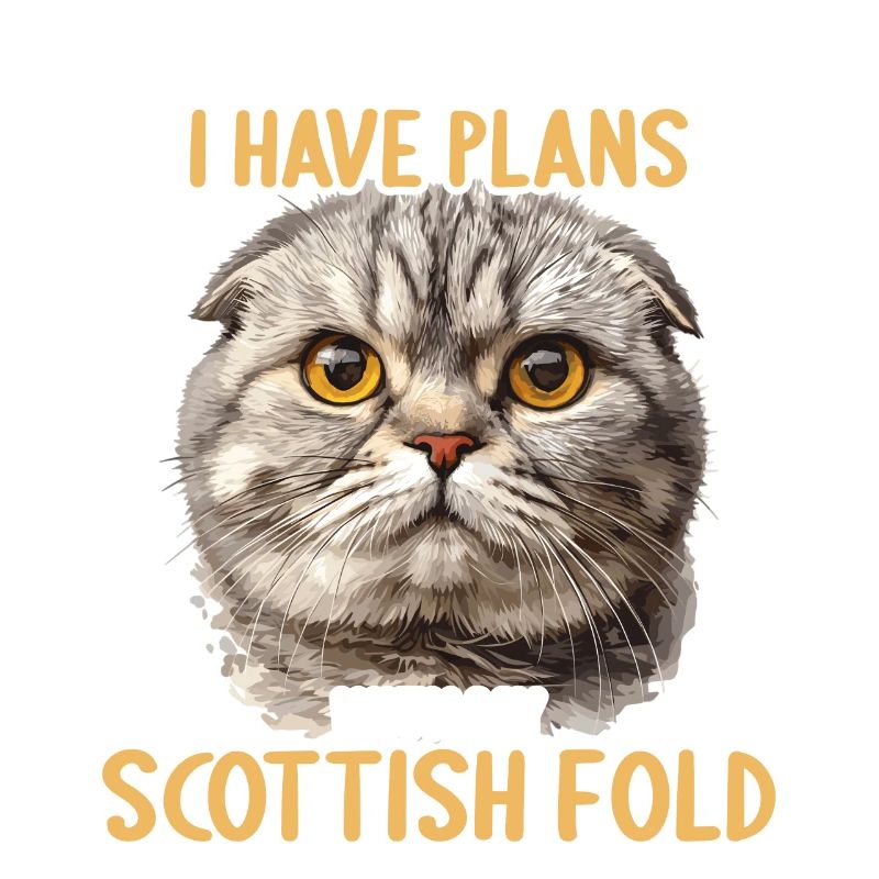 Scottish Fold Kitten Scottish Fold Cat