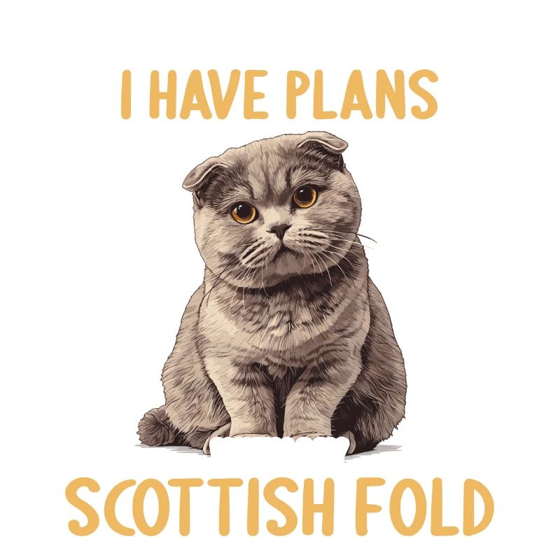 Scottish Fold Kätzchen Scottish Fold Katze