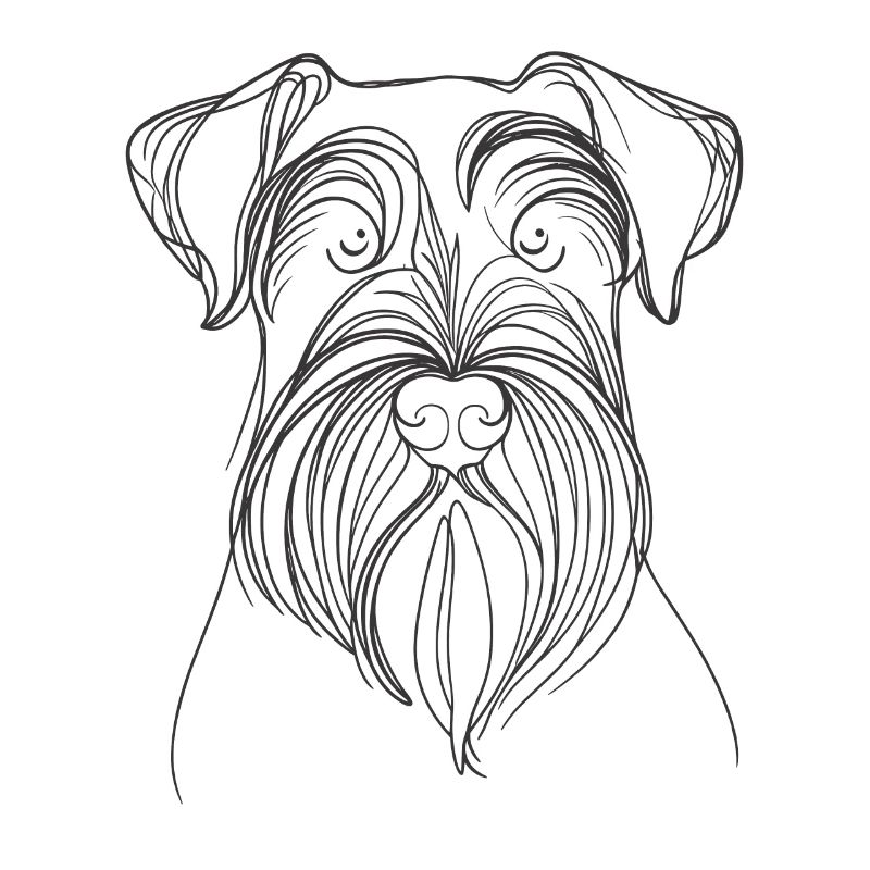 Dessin au trait Schnauzer géant Schnauzers
