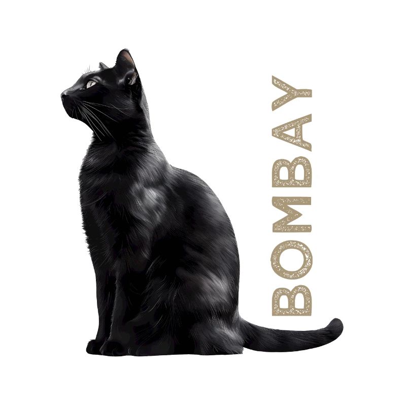 Bombay