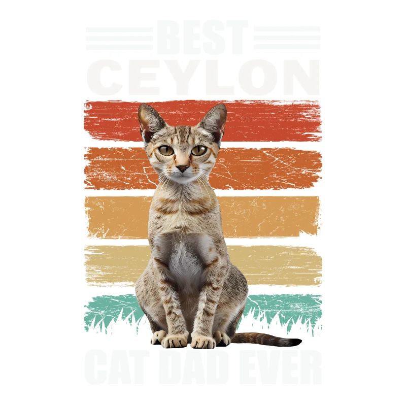 Ceylan Dad Cat