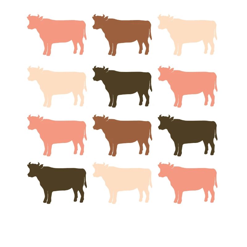 Cows