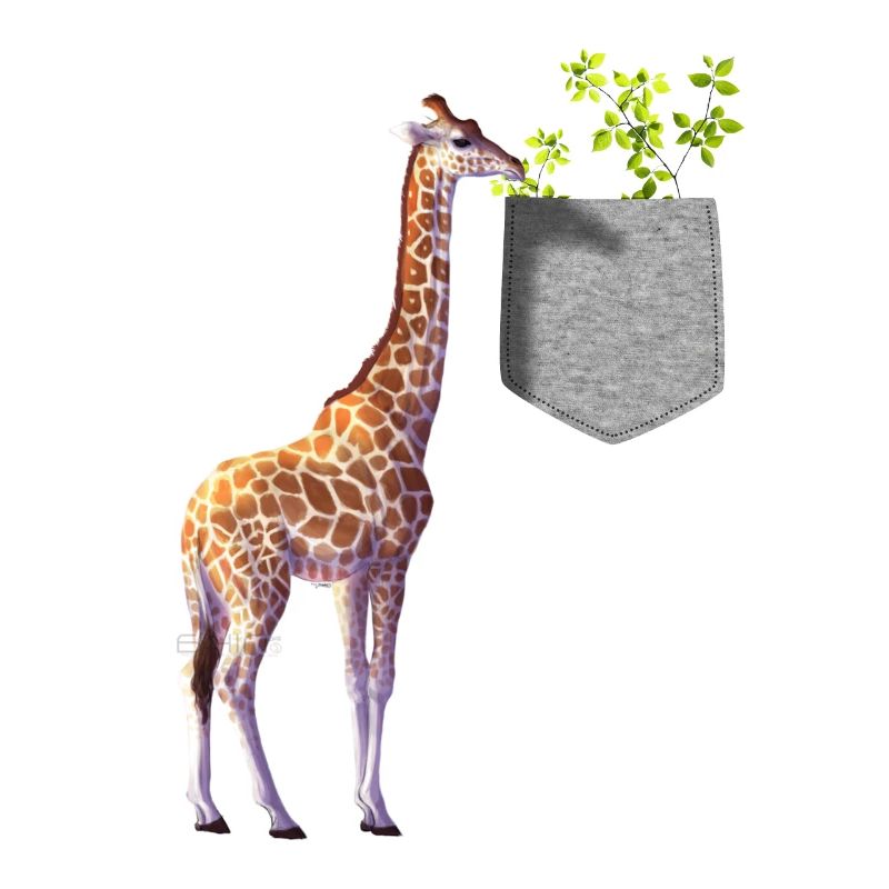 Girafe atteignant une branche avec des feuilles dans la poche