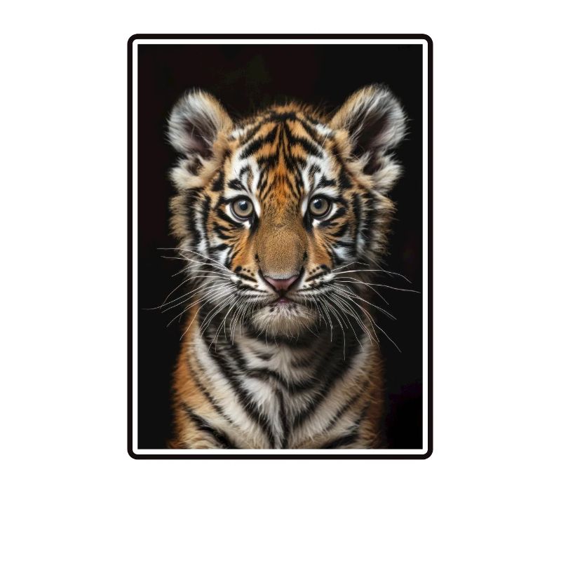 Tigre