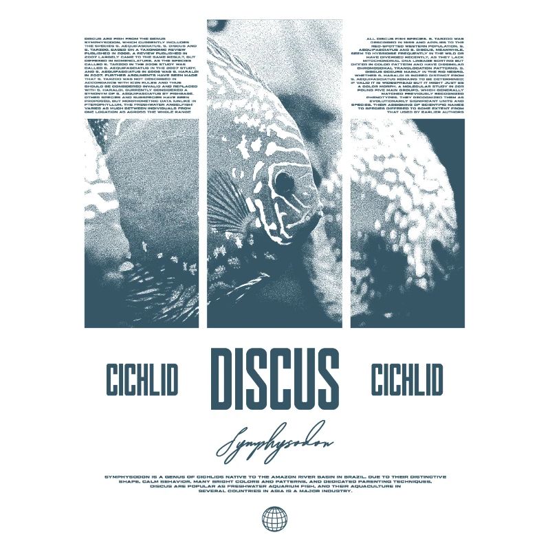Discus Cichlidé Aquarium Fish Keeper