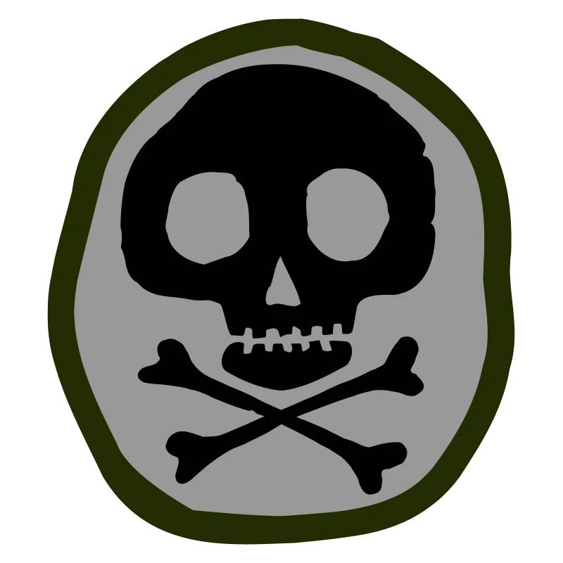 Skull and bones
