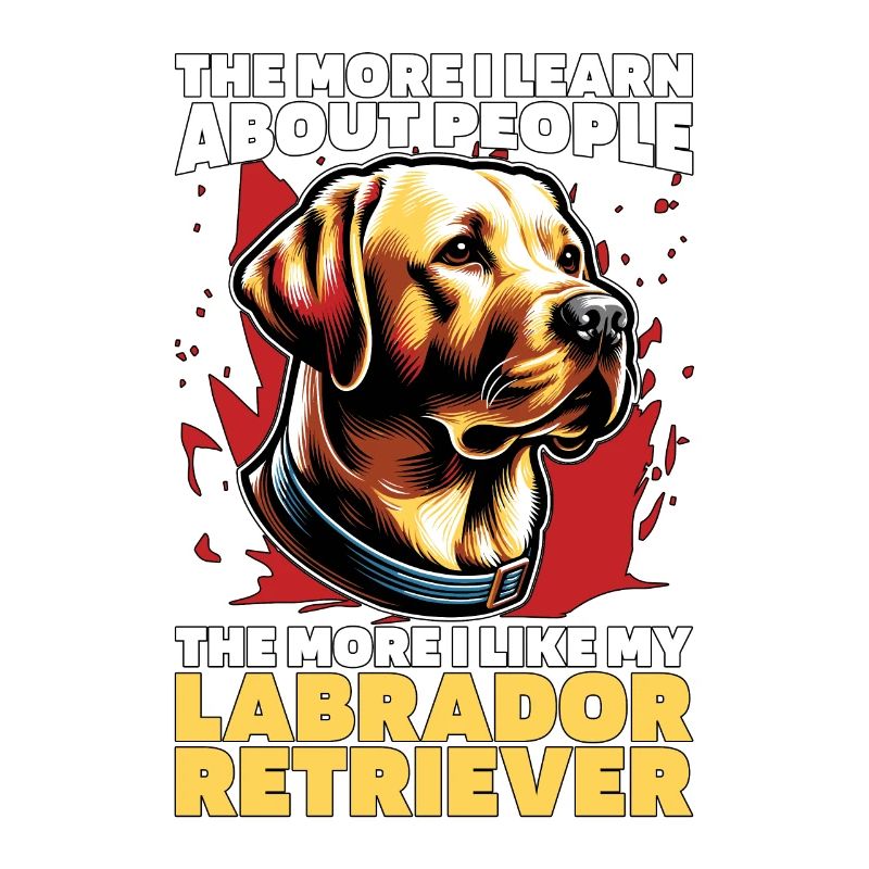 Labrador Retriever Plus j’apprends Chien Labrador