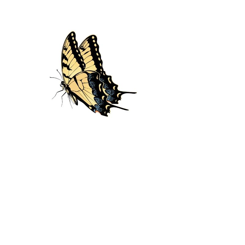 Tiger Swallowtails Sind Eine Mädchen Beste