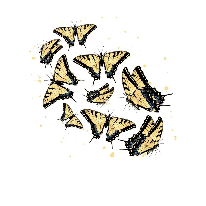 Tiger Swallowtails Sind Eine Mädchen Beste