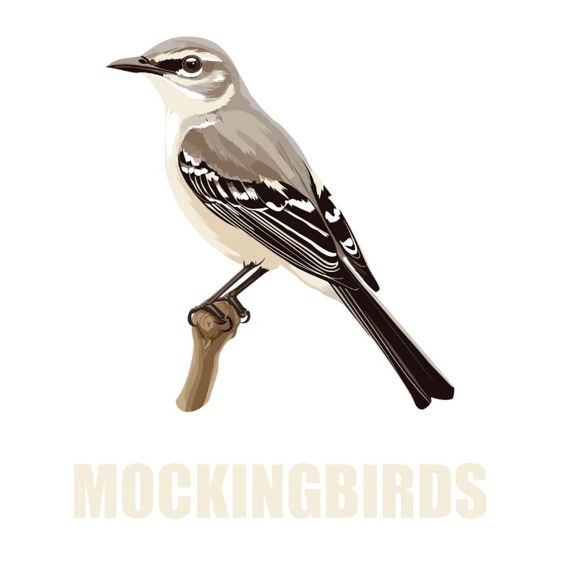 Oiseaux moqueurs Oiseaux moqueurs