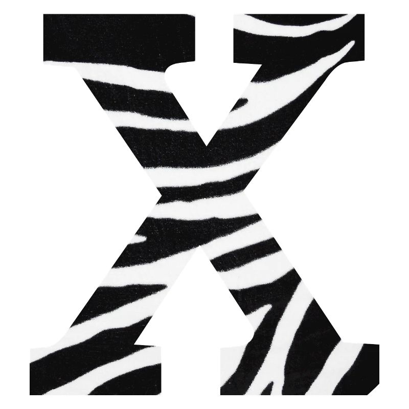 Letter x zebra