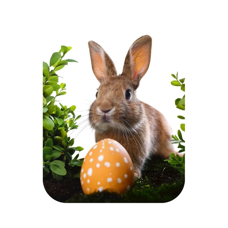 Easter Bunny
