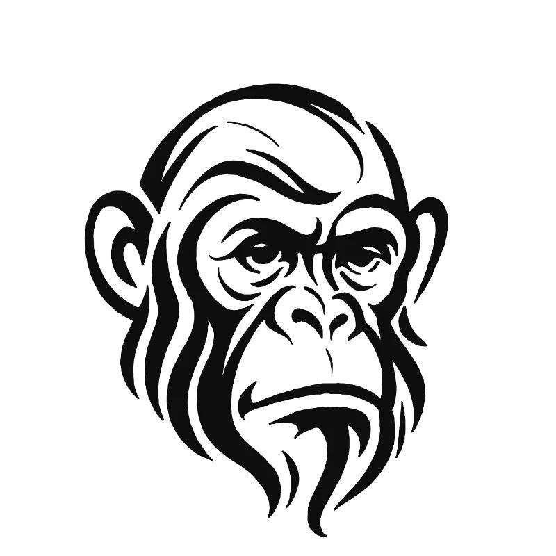 Visage de chimpanzé