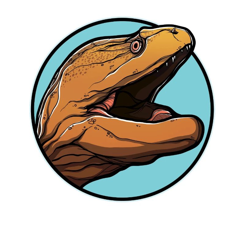 Moray eels Moray eel