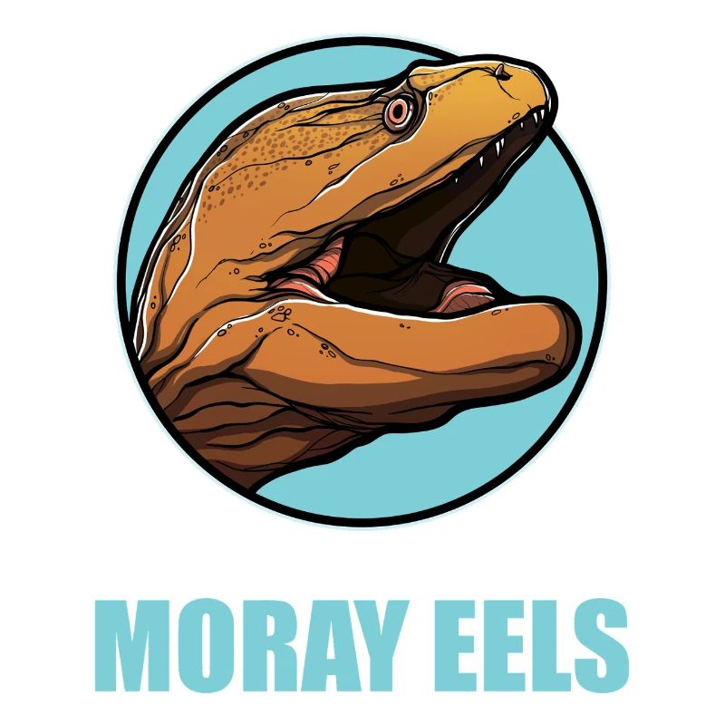 Moray eels Moray eel