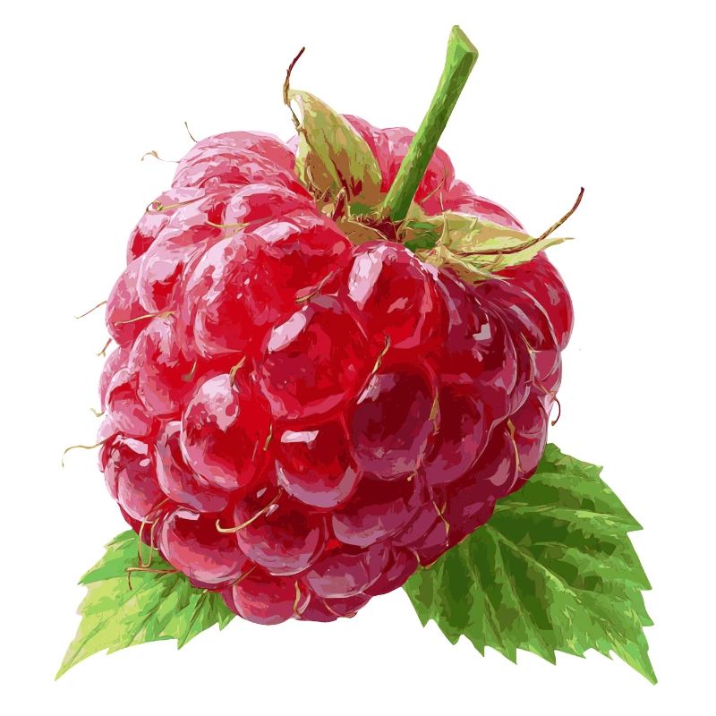 Raspberry
