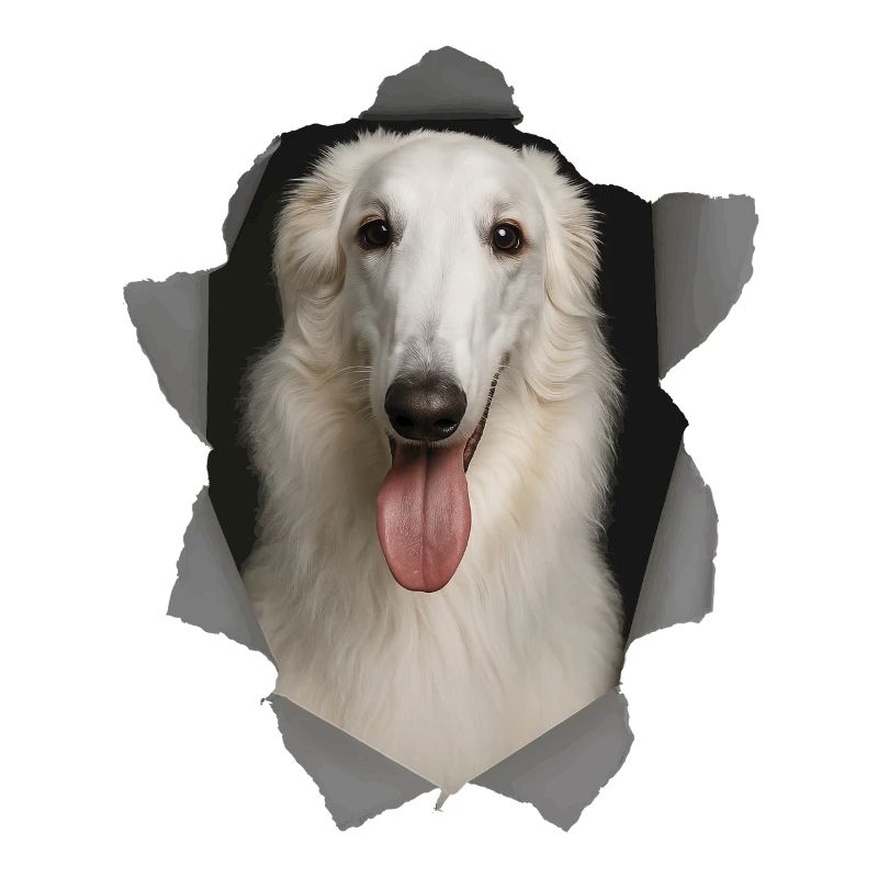 Borzoi