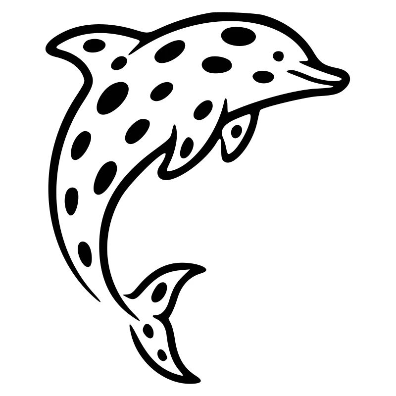 dolphin