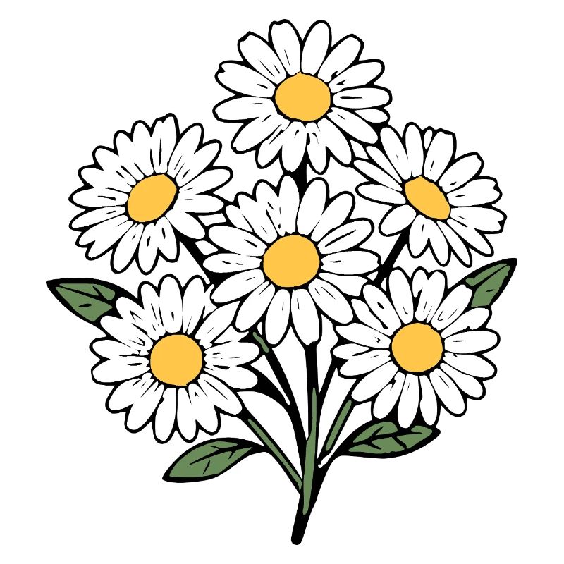 Fleur blanche Fleur blanche Fleurs Fleurs blanches Fleurs blanches