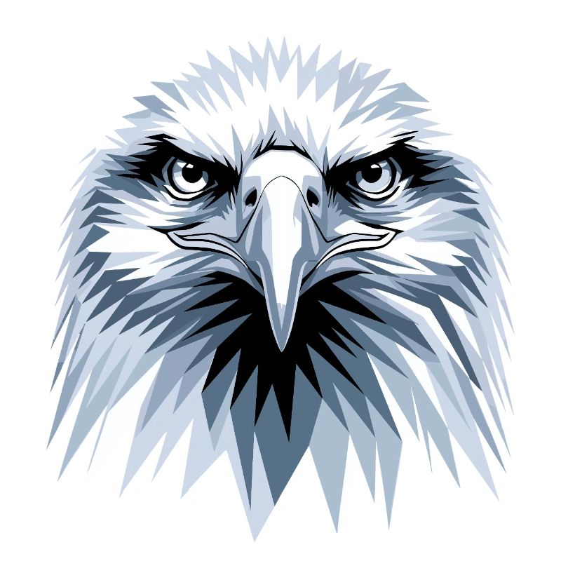 Eagle Bald Eagle Golden Eagle White-tailed Eagle