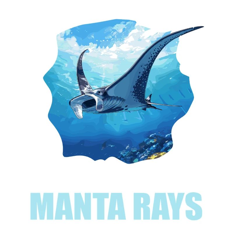 Rochen Mantarochen