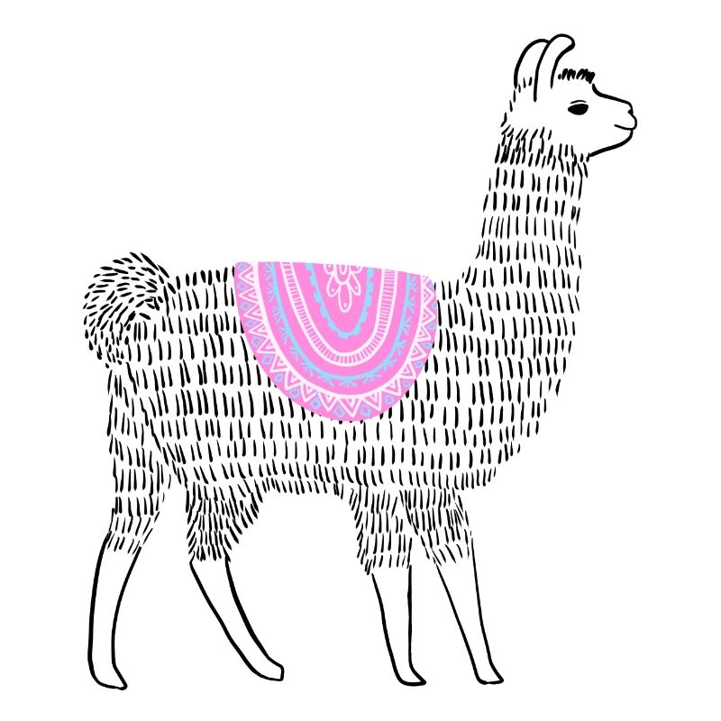 Boho Lama