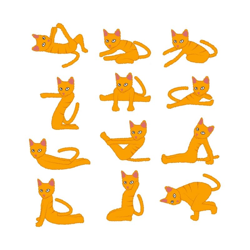 Cats doing Yoga