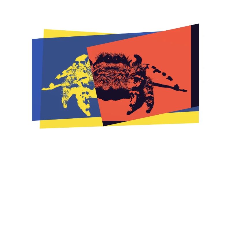 Araignée pop-art