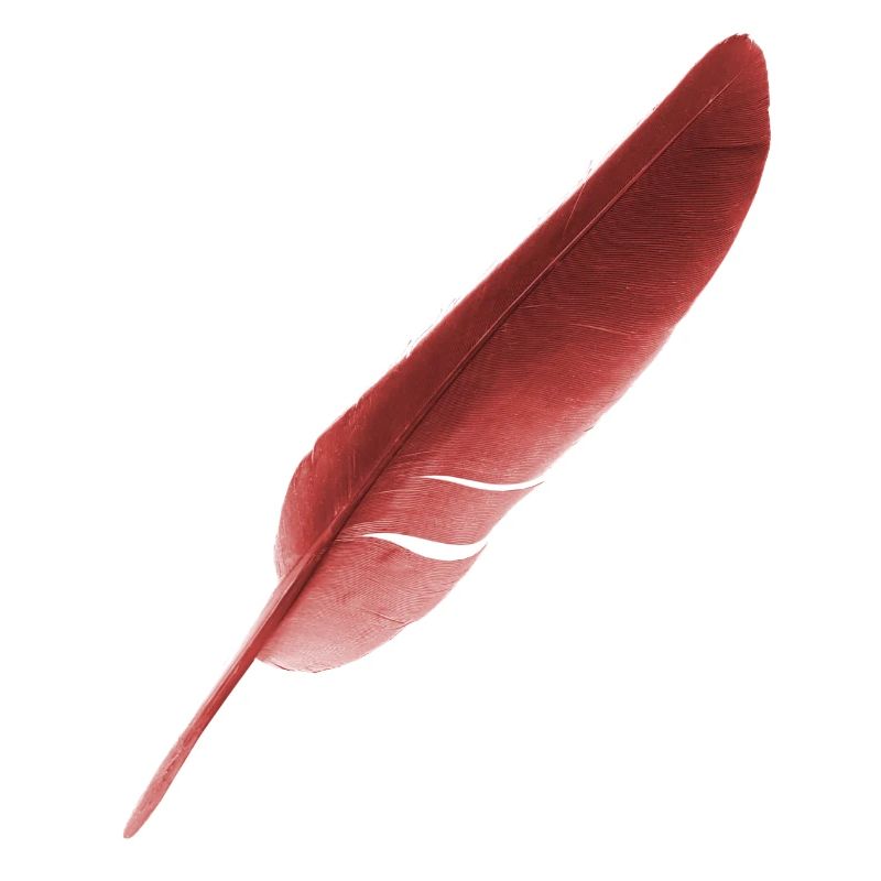 feather