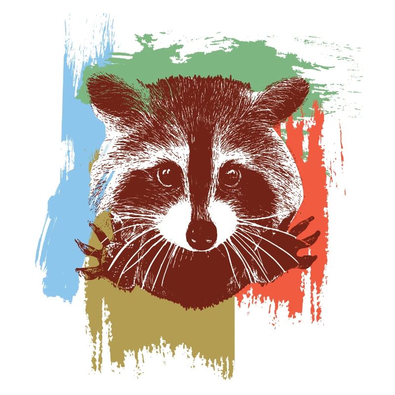 Racoon