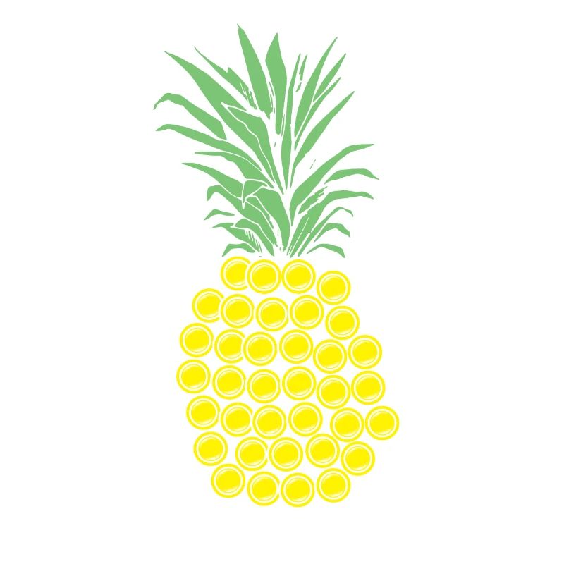 Disc Golf Ananas Geschenk