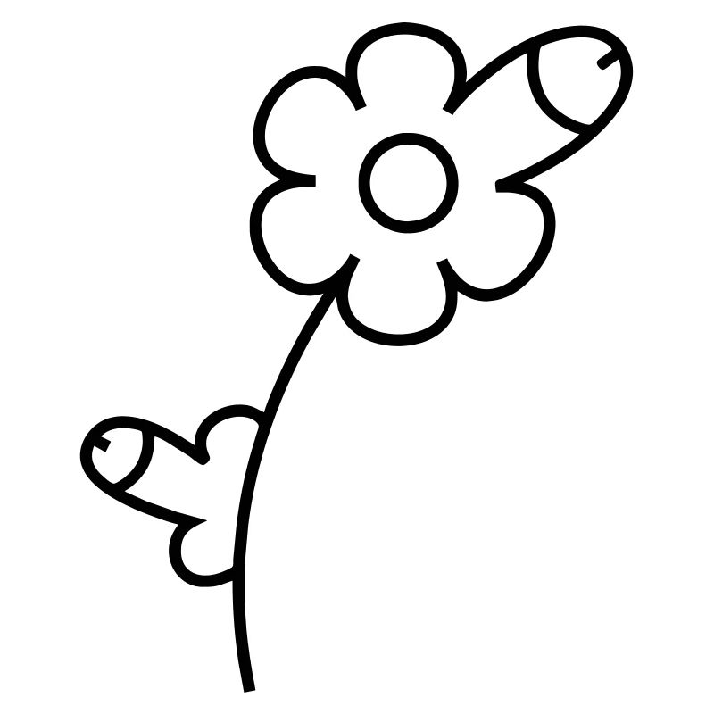 La fleur de pénis noire - l'original