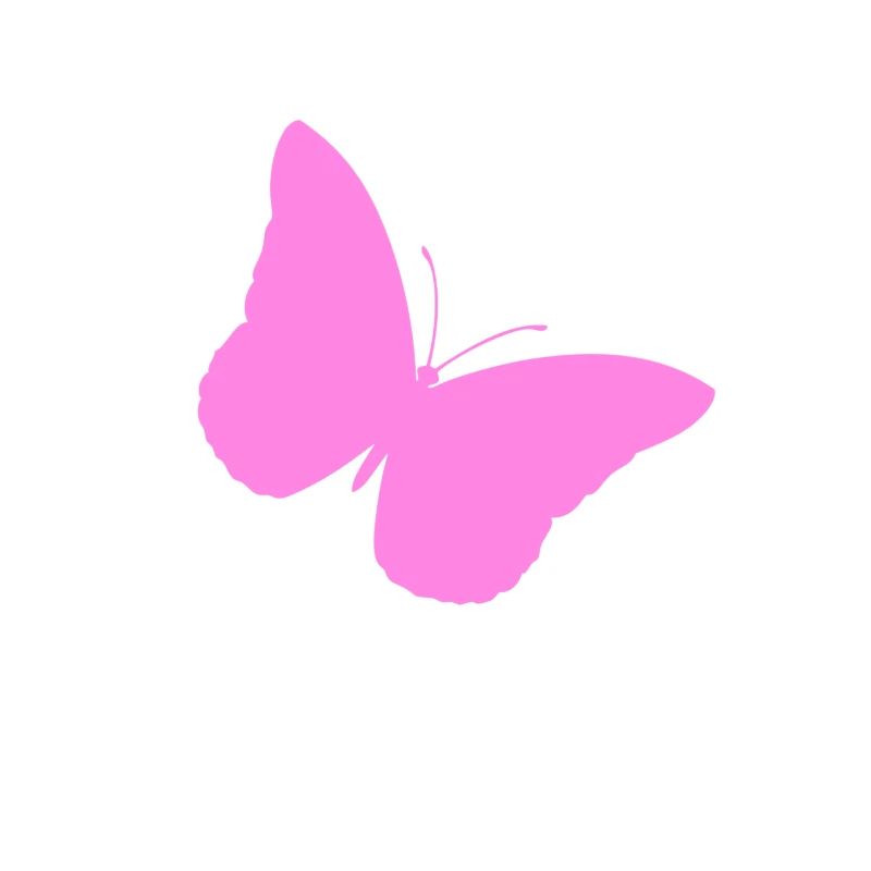 Papillon violet papillon papillon