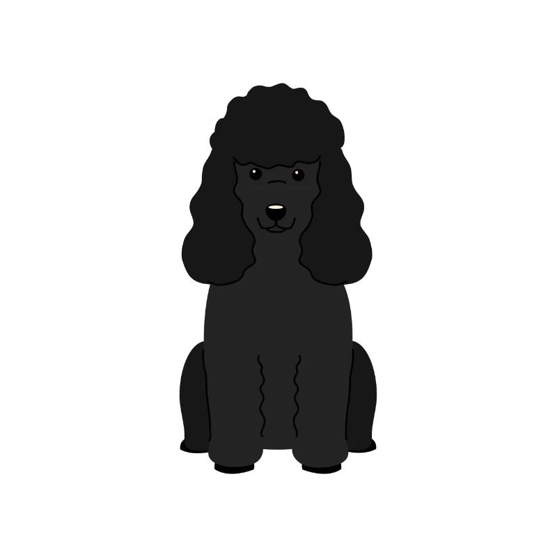 Pudel