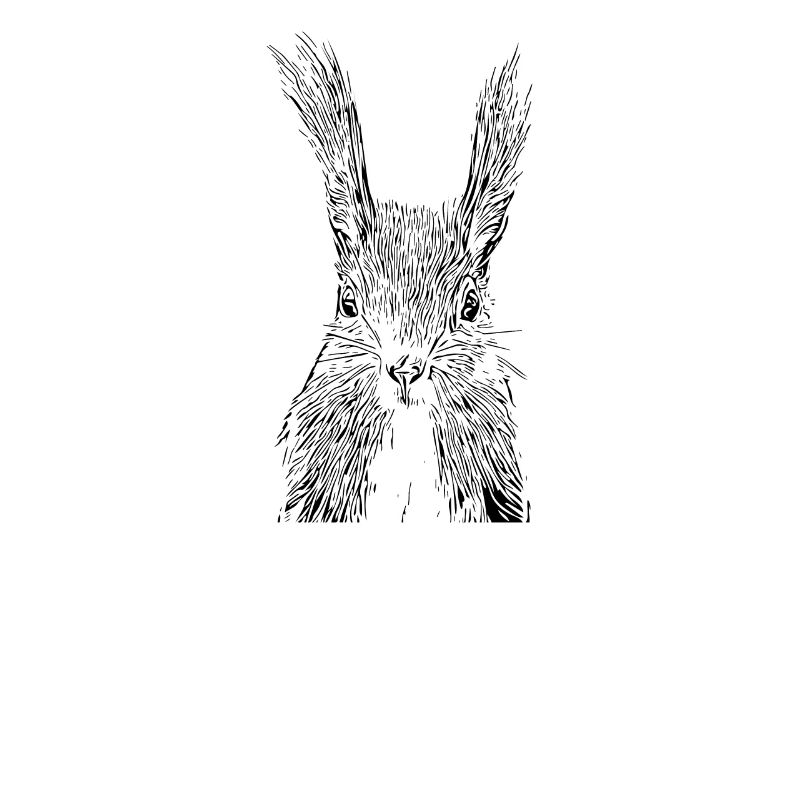 squirrel
