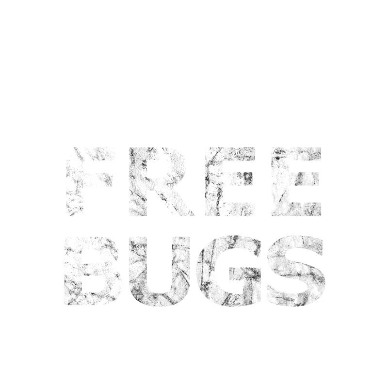 Free Bugs2 - - Programmierer Informatiker
