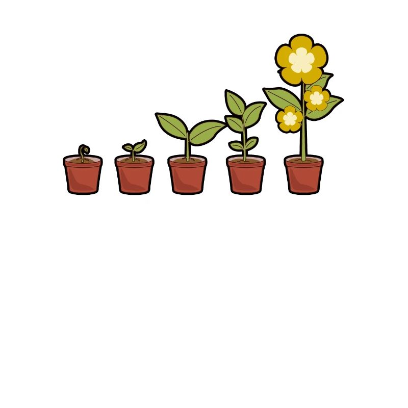 Evolution einer Blumen im Topf blühend