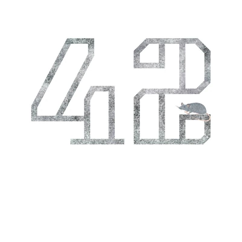 42 mit Maus, Geschenk, nerd, Computer freaks