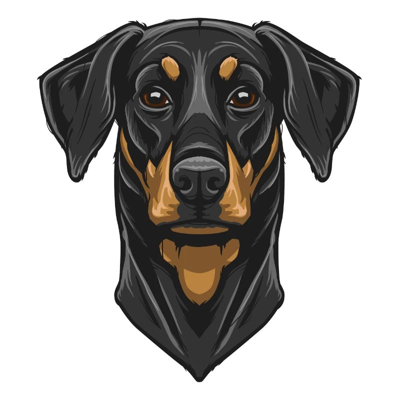Dobermann