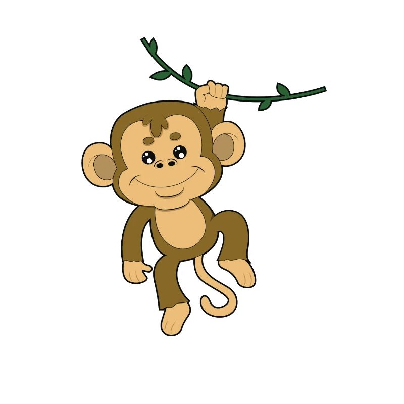 Monkey Monkey Orang Utan Gorilla Chimp Baboon